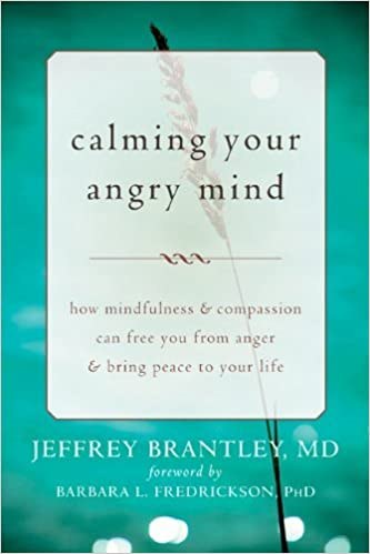 Cover of Calming Your Angry Mind
